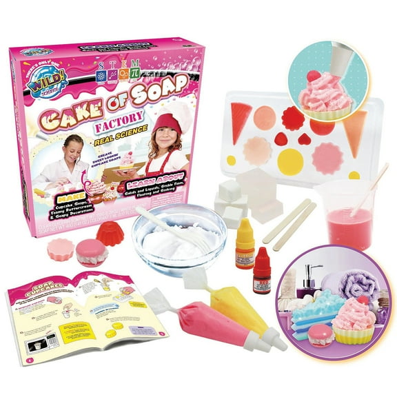 Wild! Science Cake of Soap Factory