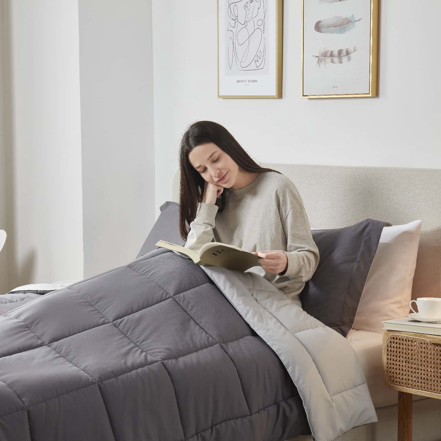 LammaLoe Twin Comforter, Quilted Down Alternative Comforter, All Season Duvet Insert with Gray/Light gray