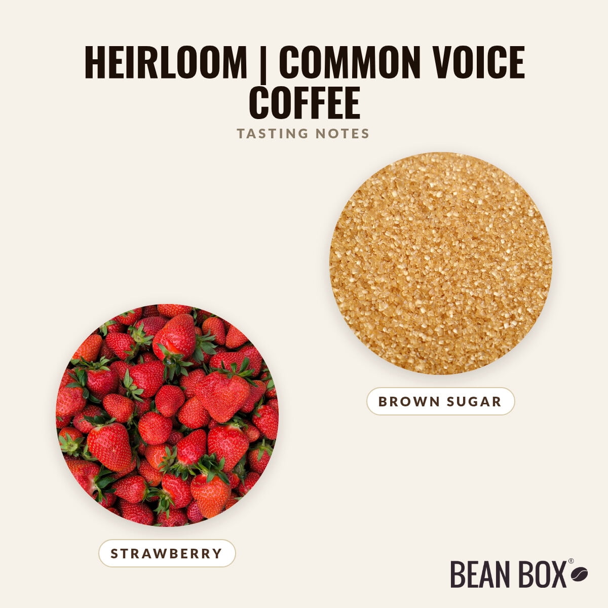 Heirloom Common Voice Coffee - Roasted by 8th & Roast Coffee Co. - Whole Bean Coffee - 2lb Bag
