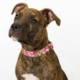 thumbnail image 3 of Country Brook Petz® Pink Paisley Martingale Dog Collar and Leash, Extra Large, 3 of 7