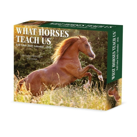 Willow Creek Press, What Horses Teach Us 2026 Desk Calendar, 6.18'' X 5.43'', Daily Calendar with Adhesive Binding
