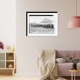 thumbnail image 3 of Historic Framed Print, Livestock at Westchester County Fair, New York, 17-7/8" x 21-7/8", 3 of 9