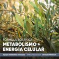thumbnail image 4 of Metfor Natural Platinum NMN Suplemento Alimenticio Health Hack con Resveratrol Leucina y Ácido Alfa Lipoico 60 Cápsulas, 4 of 8