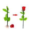 thumbnail image 2 of Magic Rose Magic Trick Magicien Gros Plan Accessoires Farce Outil, 2 of 3