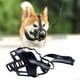 thumbnail image 1 of Bozal de cesta transpirable Yinane para entrenamiento de perros negro, 1 of 8