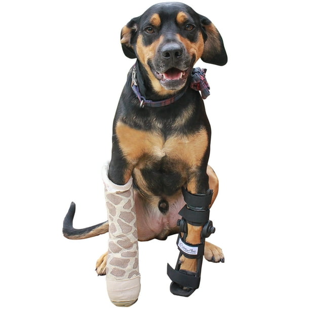 Fit® Adjustable Pet Splint Dog Foot Splint Helps Brace Lower Front