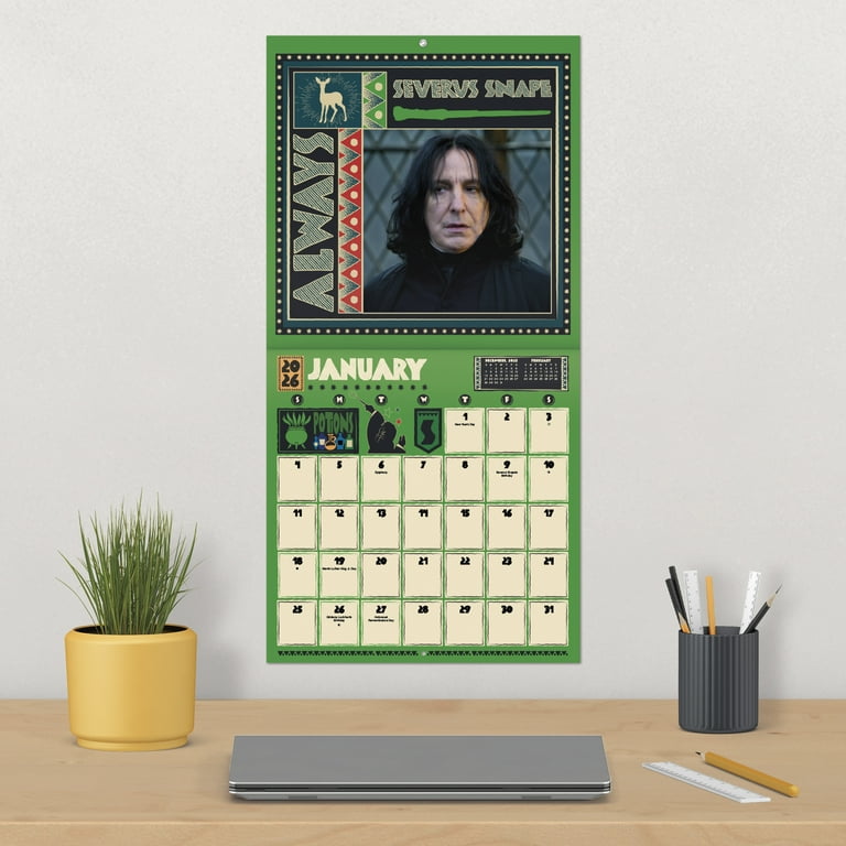 Harry Potter, 16 Months, by Trends International - Walmart.com