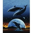 thumbnail image 2 of Unknown 15x17 White Modern Wood Framed Museum Art Print Titled - Porpoise and Moon I, 2 of 4