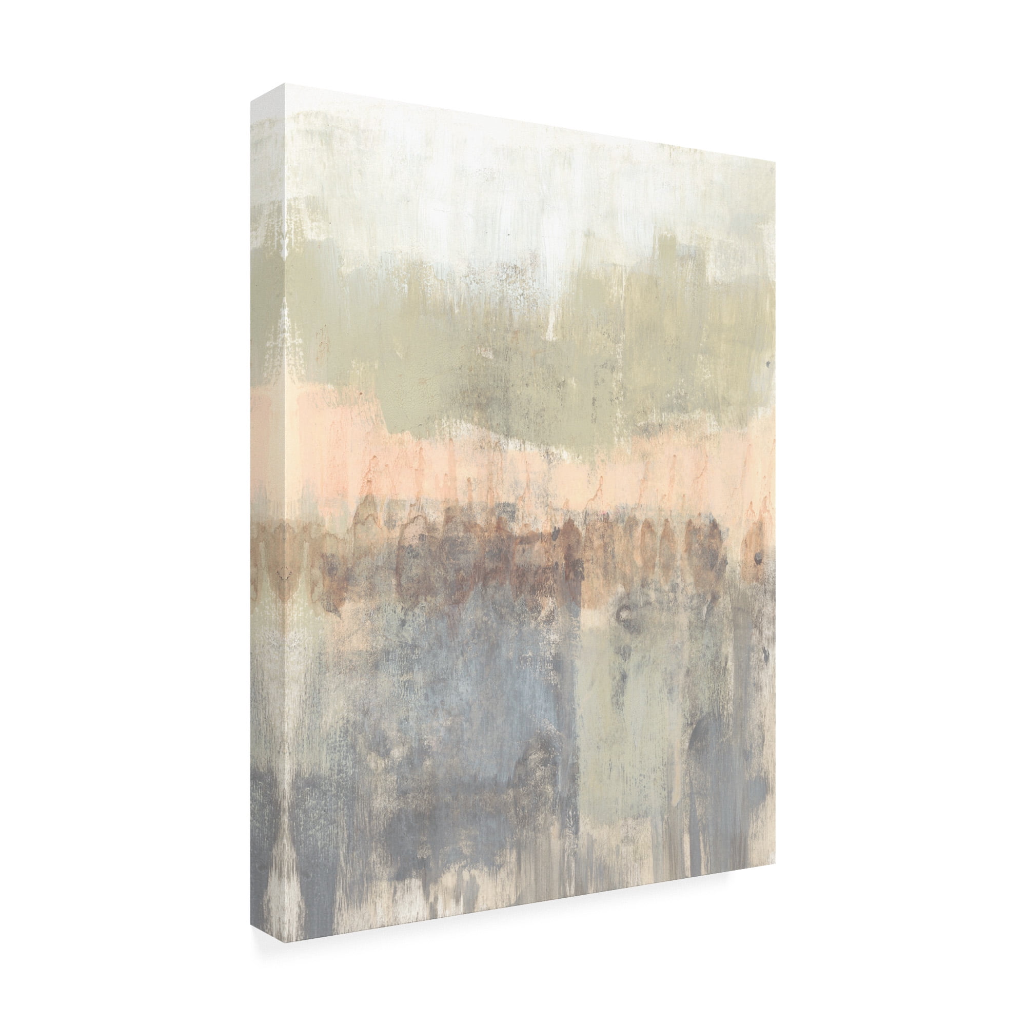 Trademark Fine Art 'Blush Neutrals I' Canvas Art by Jennifer Goldberger