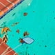 thumbnail image 2 of 1 Set Piscina Limpiador Suministros Profesional Piscina Hoja Rake Fine Mesh Net, 2 of 5