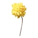 thumbnail image 1 of Flores secas para jarrón, arreglo floral DIY, elegante centro de mesa con plantas secas para dormitorio, fiesta, oficina, decoración del hogar Estilo I, 1 of 9