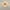 Gold, variant on Crystal Ceiling Light Fixture, Semi Flush Mount Ceiling Light Modern Crystal Hallway Light, Gold Flush Mount Chandelier for Entryway Kitchen Bedroom Living Room Entryway(Gold)