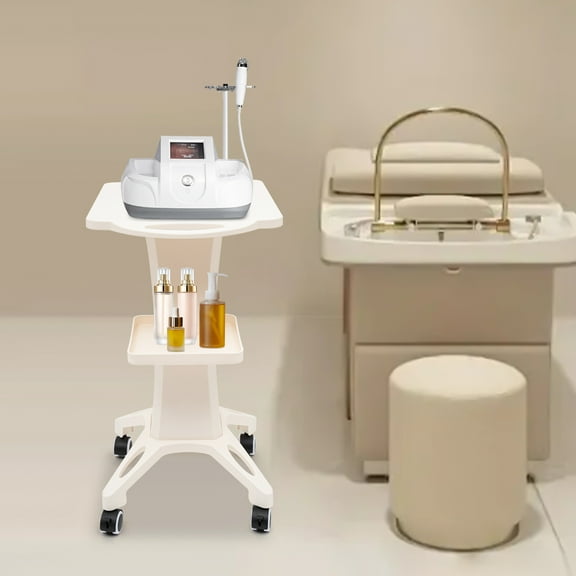 2-layer Salon Trolley Stand Rolling Cart Beauty Wheel Holder Spa Cart for Salon Beauty Equipment Holder