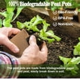 thumbnail image 3 of INCIKITI Biodegradable Peat Pots for Seedling MVR1&nbsp;- 120 inch Biodegradable Plant Seed Starters Kits with 30 Plant Labels, Garden Germination Nursery Pots for Flower Vegetable Seed Germination, 3 of 3