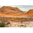thumbnail image 2 of Tenoever, William 24x17 Gold Ornate Wood Framed with Double Matting Museum Art Print Titled - ValleyOfFire:BigHornSheep1, 2 of 4