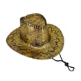thumbnail image 2 of Womens Western Cowboy Hat， AURORADY Men's Classic Western Hat with Leather and Metal Embellishments Brown Cowboy Hat for Outdoor and Casual Wear, Brown One Size Cowboy, 2 of 5