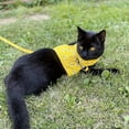 thumbnail image 6 of 2-piece Cat Harness with Leash Escape Proof set - Fashionable Mesh Cat Dog Walking Harness Leads, Adjustable for Kitties Puppies Small Animals, 6 of 6