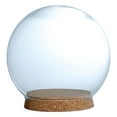 thumbnail image 2 of 3 piezas transparentes a prueba de polvo en forma de bola cúpulas de Cloche con Base de madera planta decoración de Macarena Cúpula transparente, 2 of 6