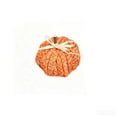 thumbnail image 2 of Handwoven Raffia Pumpkin Fall Decor, Halloween Thanksgiving Tabletop Ornament for Boho Scandinavian Home, Orange 1 Pack, 2 of 6