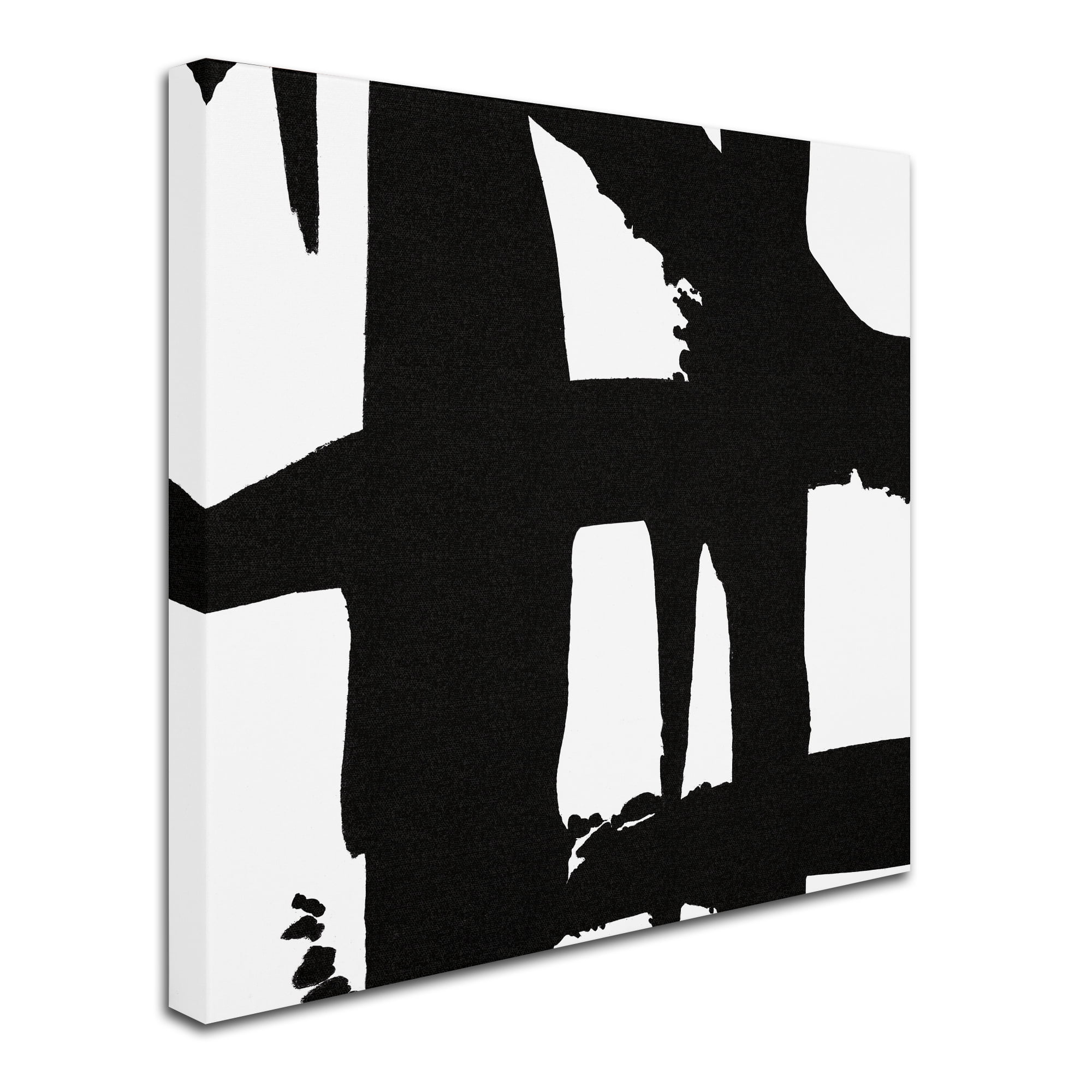 Trademark Fine Art 'Crossing Paths I' Canvas Art by Sarah Adams