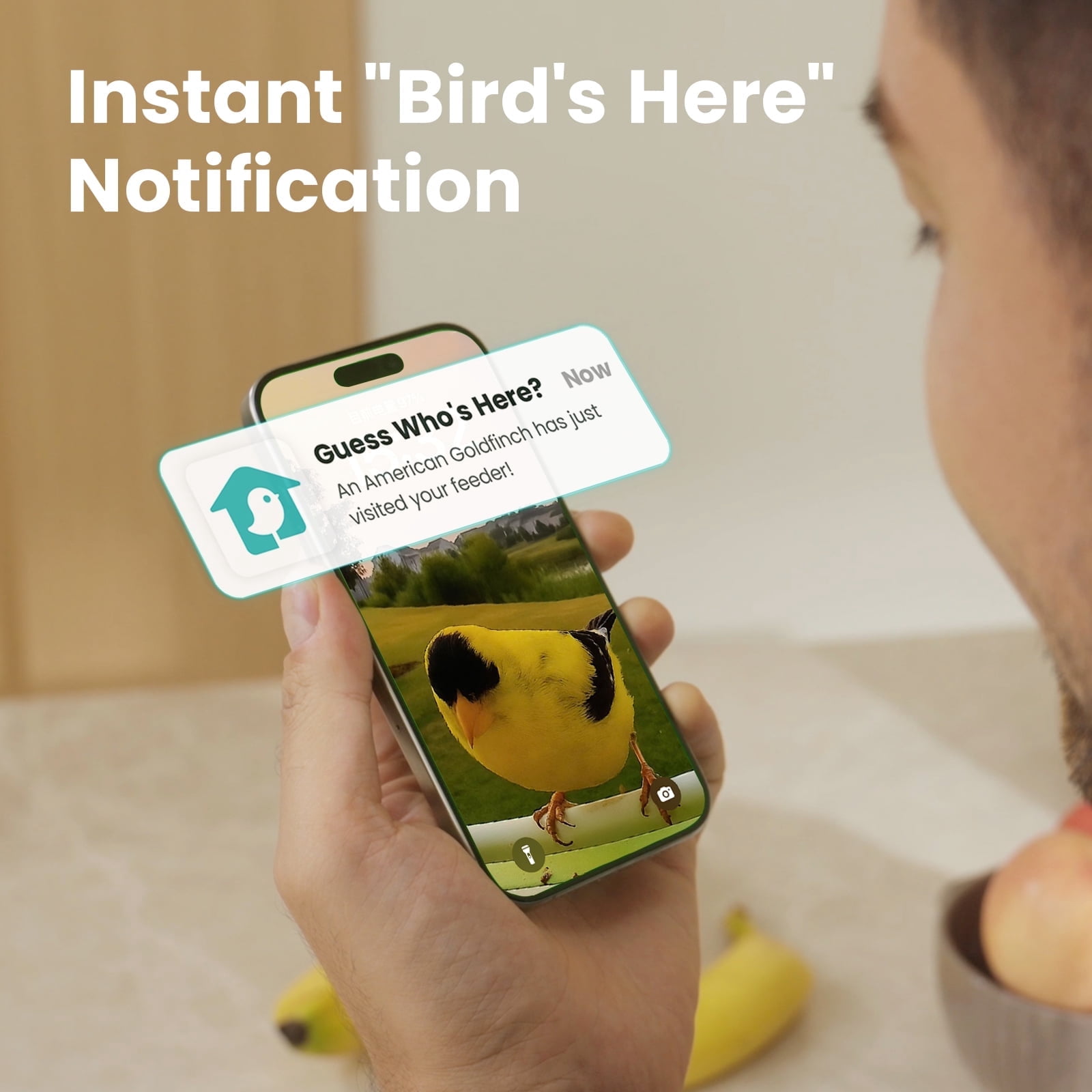 Birdfy Smart Bird Feeder with Camera, AI Bird Identification, Auto Visits & Notifications, Free App, Metal Build – Holds Up to 2.5L Bird Seed, Ideal Bird Lover Gift