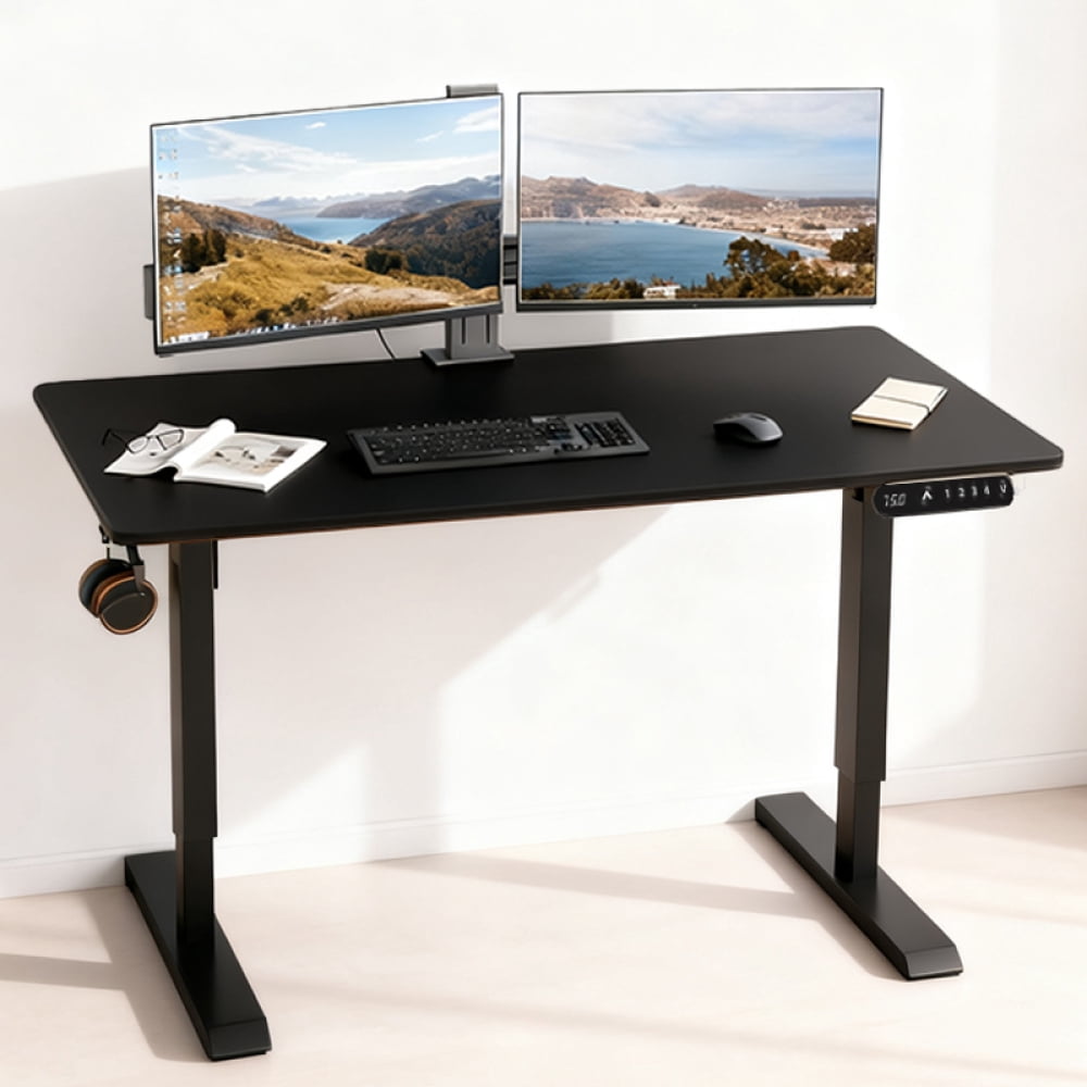 55" x 24" Black Electric Standing Desk, Height Adjustable Sit Stand Desk with Type-C Port for Home Office