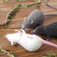 thumbnail image 2 of 6 Pieces Fake Rat Suit, Plastic Rat, Halloween Decoration, Entertainment Simulation Mouse, Terrible Prank Props, Party Props, Cats And Dogs Interestin, 2 of 2
