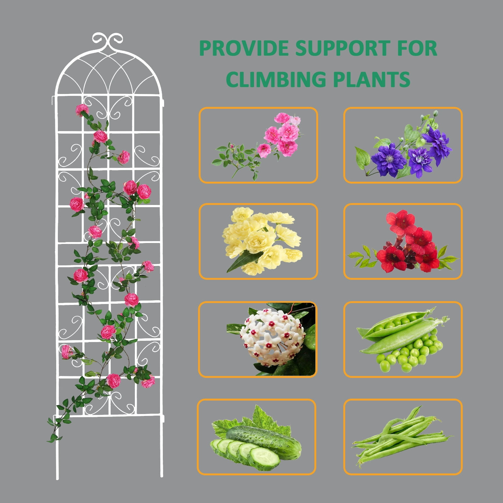 CQSXDA 2 Pack Large Garden Trellis 86.7"H x 19.7" W Heavy Duty Rustproof White Iron Plant Trellis for Potted Plant Support Metal Climbing Rose Trellis Vine Vegetable Cucumber