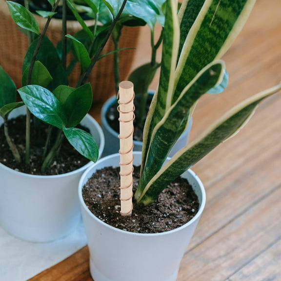 NICEXMAS Copper Wire for Plants Gardening Antenna Golden Wood 2Pcs