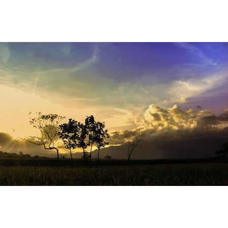 Canvas Print Nature Wallpaper Nature Field Afternoon Beautiful Stretched Canvas 10 x