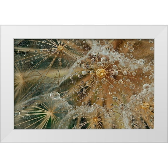 Filosofo, El 32x22 White Modern Wood Framed Museum Art Print Titled - Starless