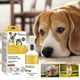 thumbnail image 2 of 1-3X Pet Bee Venom Joint & Bone Therapy Spray, Spray reparador de articulaciones para perros y gatos, alivio del dolor de articulaciones corporales, músculos y huesos, spray para el cuidado de 60 ml,, 2 of 5