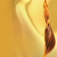 thumbnail image 2 of L'Oreal Paris Extraordinary Oil Shampoo, for Dry Hair, 2 of 2
