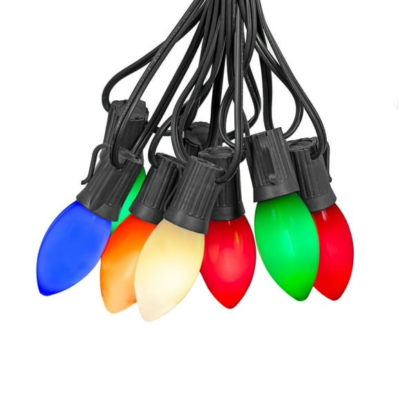 Novelty Lights C9 LED Christmas Multicolor Smooth Plastic Light Set, Black Wire (25 Bulbs, 25 Feet)