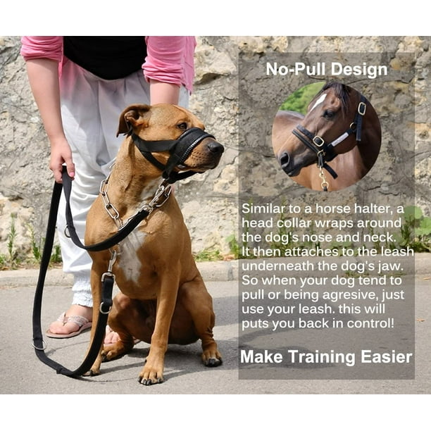 Dog Muzzle Nylon Halter Training Leash Head Collar Anti barking