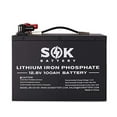 thumbnail image 1 of SOK Battery 100Ah 12V LiFePO4 Lithium Iron Phosphate Deep Cycle Battery,Perfect for Your RV or Any Off-Grid Applications,Low Temperature Disconnected, 1 of 6