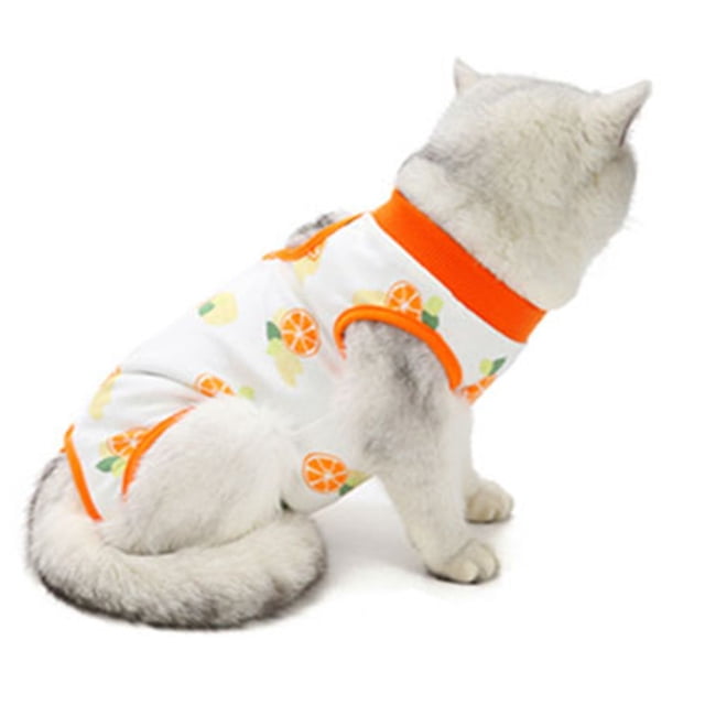Traje de recuperación quirúrgica para gatos, gatito transpirable después de la cirugía, use una camisa para mascotas para heridas abdominales, enfermedades de la piel, vendajes profesionales con