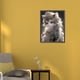 thumbnail image 3 of 5D DIY Taladro Parcial AB Diamante Pintura Gato Princesa 35x45cm, 3 of 9