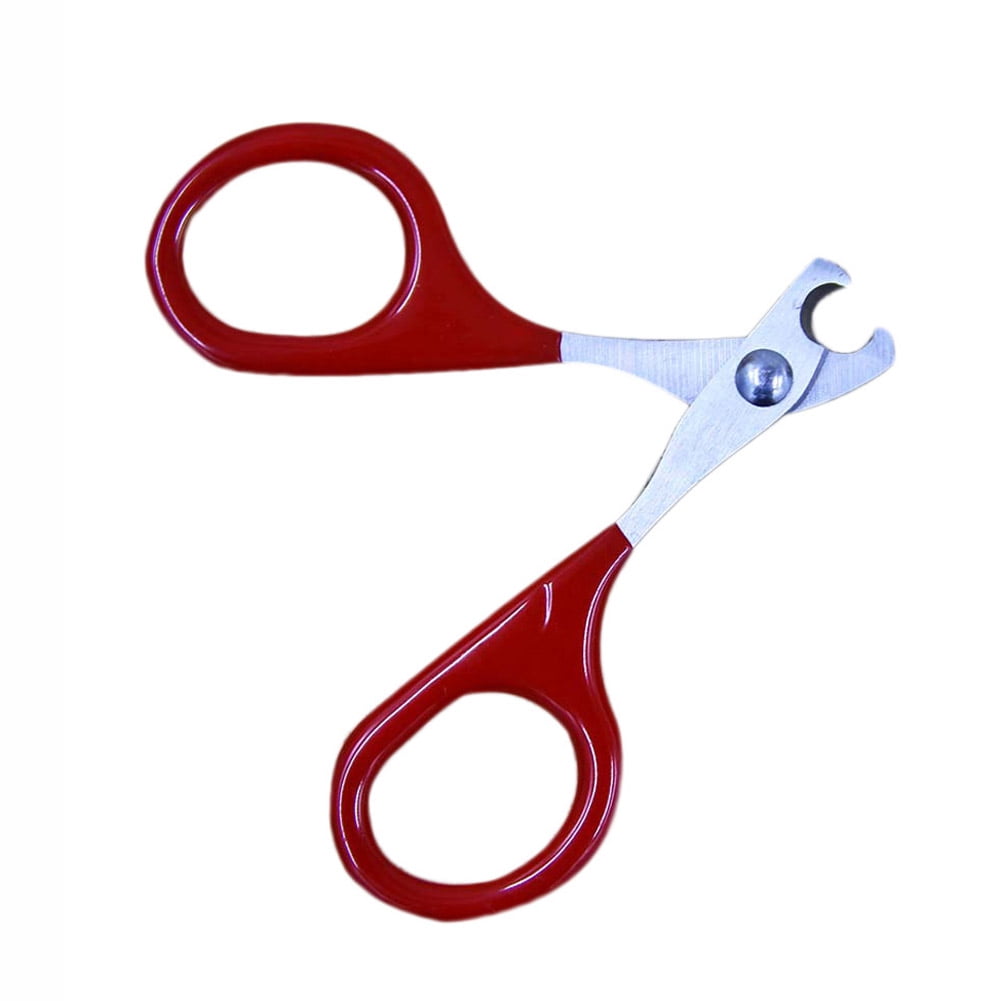 SHIYAO Pet Nail Clippers for Small Animals - Best Cat Nail Clippers and Claw Trimmer for Home Grooming Kit - Professional Grooming Tool for Tiny Dog Cat Bunny Rabbit Bird Puppy Kitten Ferret