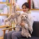 thumbnail image 5 of unidad de muñeco perezoso realista de 50cm/70cm, juguetes de peluche para niños, muñeca encantadora para novia, los mejores regalos, 5 of 5