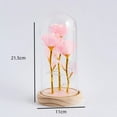 thumbnail image 3 of Multi-Stem Preserved Light-Up Rose in Glass/ Dome | Colorful Eternal Rainbow Rose Night Light | Romantic Gift for Mom, Wife, Her | Valentineâs Day, Anniversary, Birthday Decor, 3 of 4