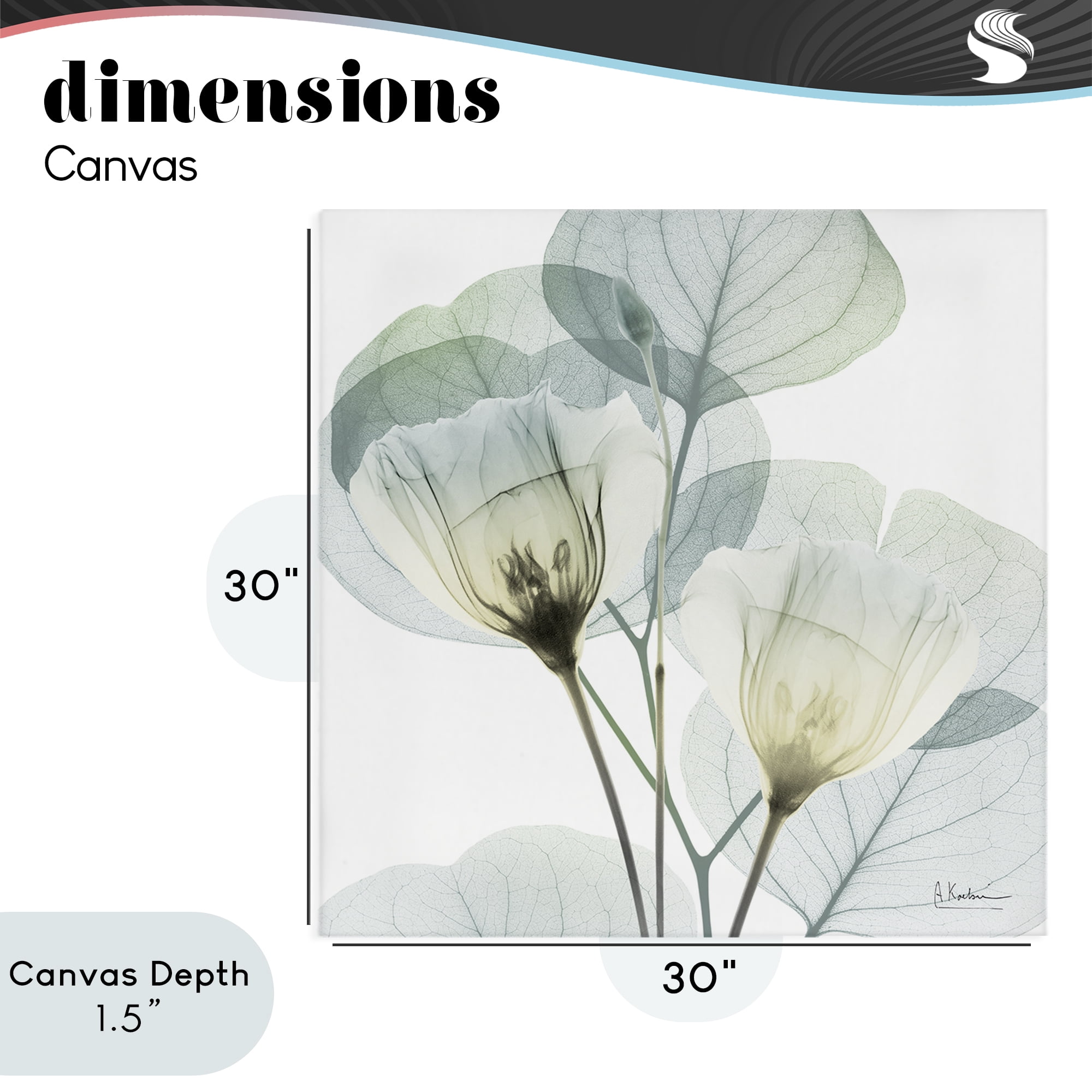 Stupell Industries Divine Fate Flower Leaves Canvas Wall Art, design by Albert Koetsier