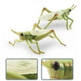 thumbnail image 2 of Beetle Model Decoration Dragonfly Frog Eco-friendly Insect Beetle Statue Model Desktop Decoration, 2 of 5