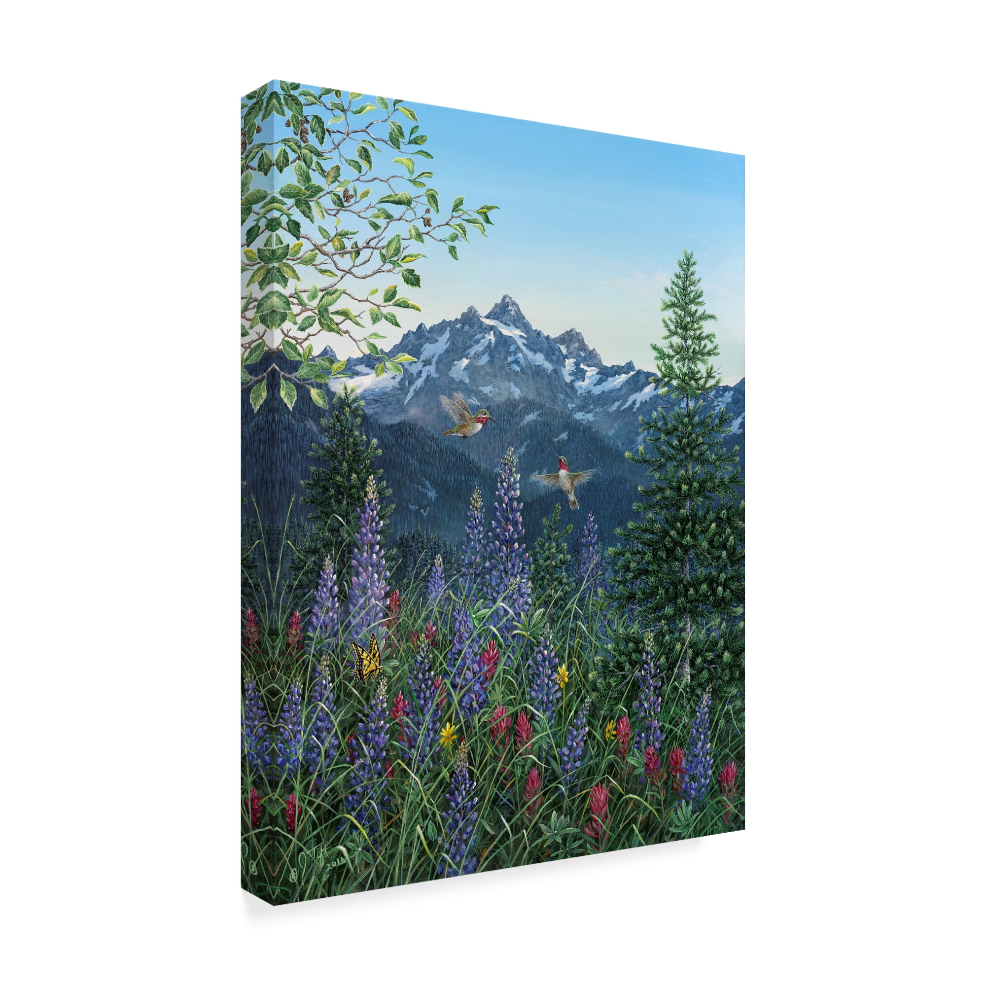 Trademark Fine Art 'A Taste Of Summer' Canvas Art by Jeff Tift