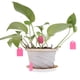 thumbnail image 1 of Etiquetas 100 Uds. De etiquetas para plántulas DIY, etiquetas creativas para plantas y flores, herramientas de jardín (rosa), 1 of 5