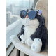 thumbnail image 2 of Peluche Dibujos Animados Gato Lucifer 30cm Xtellar negro, 2 of 4