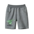 thumbnail image 2 of FLMEI Kids Baby Boys Shorts Sport Shorts Sweat Shorts Pants 1-8Years Toddler Summer Elastic Cute Cartoon Dinosaur Sport Shorts Fifth Pants, 2 of 8