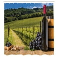 thumbnail image 3 of Ambesonne Italian Shower Curtain, Vineyard Tuscany Grape, 69"Wx75"L, Green Blue Brown, 3 of 5