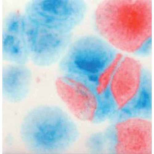 Sax True Flow Crystal Magic Glaze 1 Pt Walmart Com Walmart Com