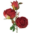 thumbnail image 2 of YAOMOBB Artificial Rose Sealed Food Freezer Set for Leak proof Storage Keep Your Food Fresh, 2 of 5
